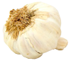 garlic-100x89